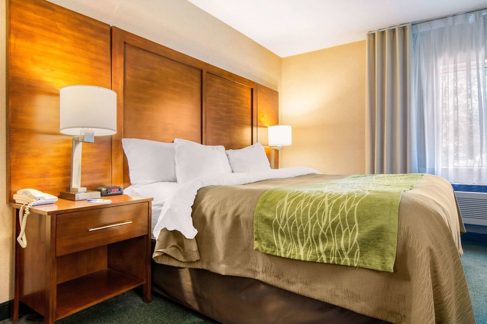 Comfort Inn and Suites Shawinigan 6/47