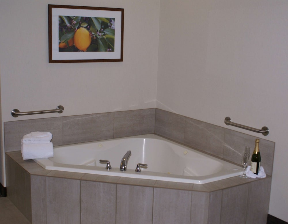 Best Western Premier Pasco Inn & Suites 20/64
