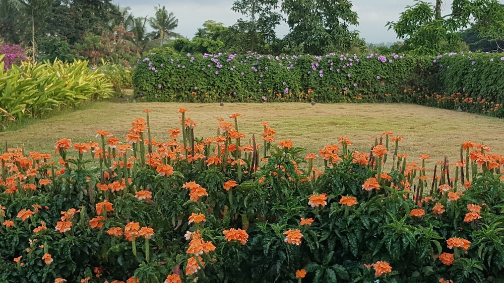 Ubud Wana Resort 59/70