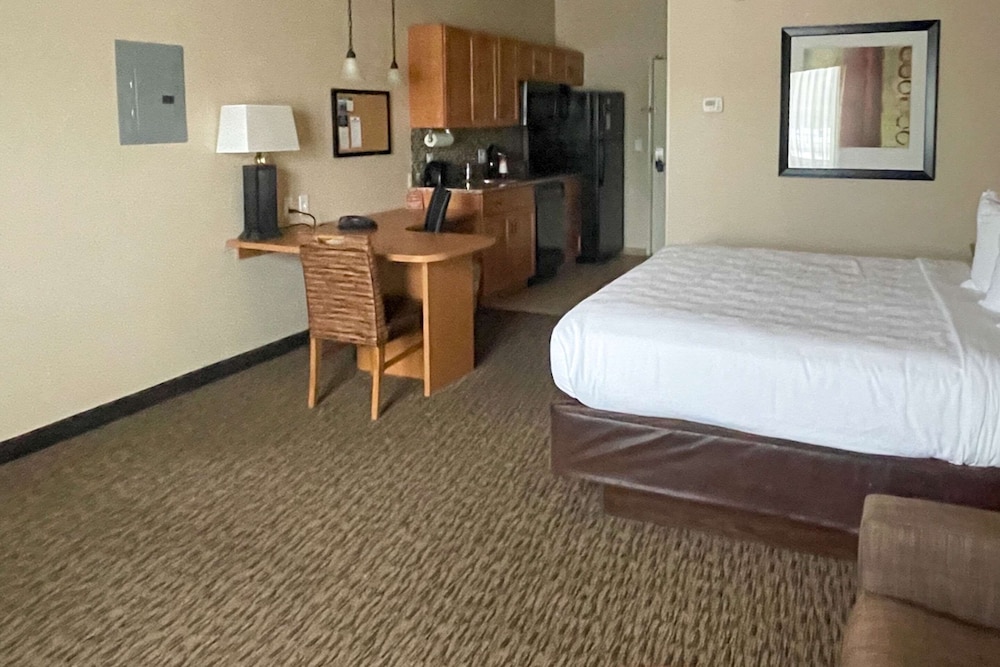 جناح بسرير كينج مع أريكة، MainStay Suites Sidney - Medical Center 3/5