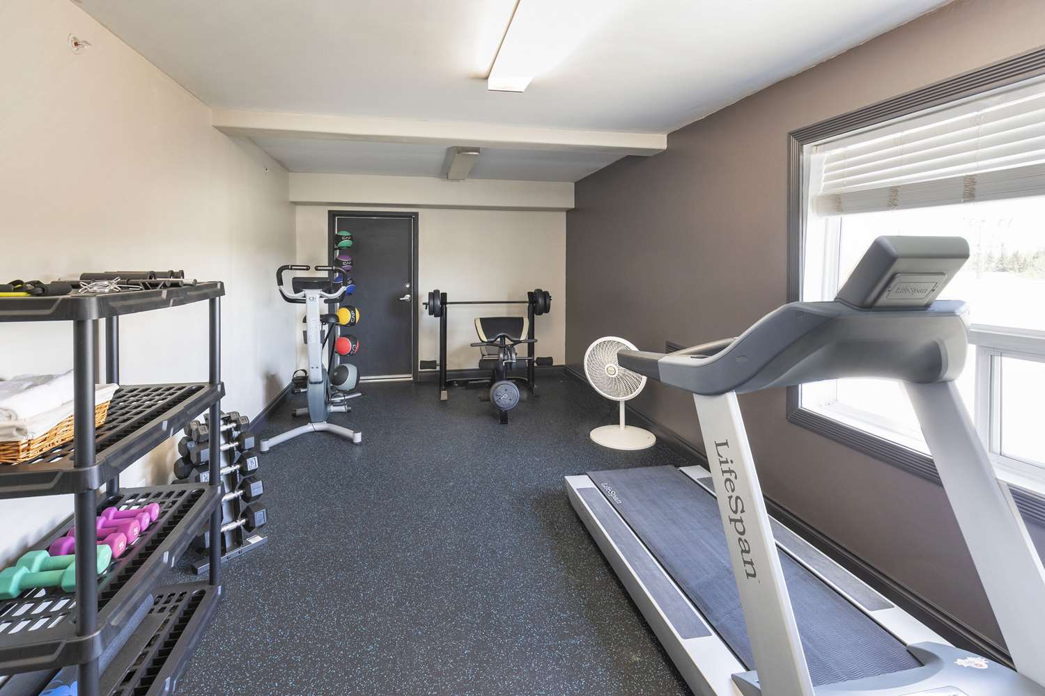 Quality Inn & Suites Whitecourt 10/18