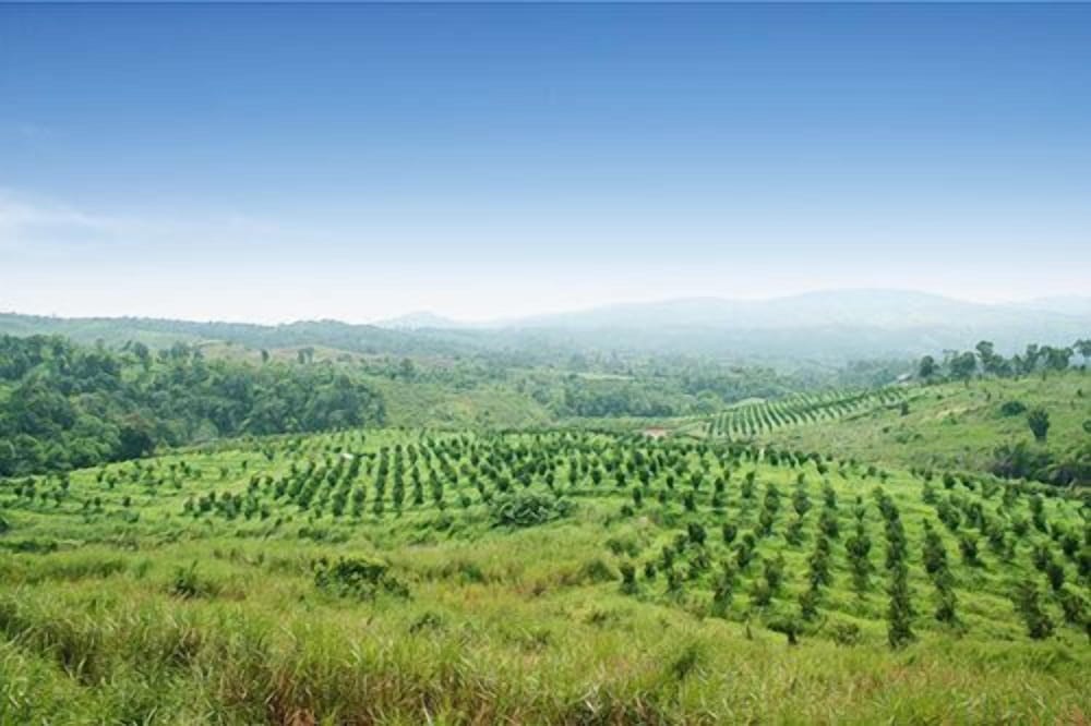 Phu Pha Nam Resort Spa 65/74