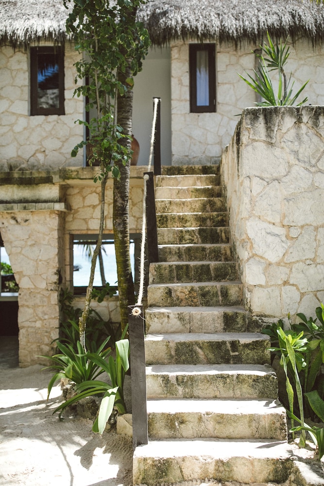 NEST Tulum 4/50
