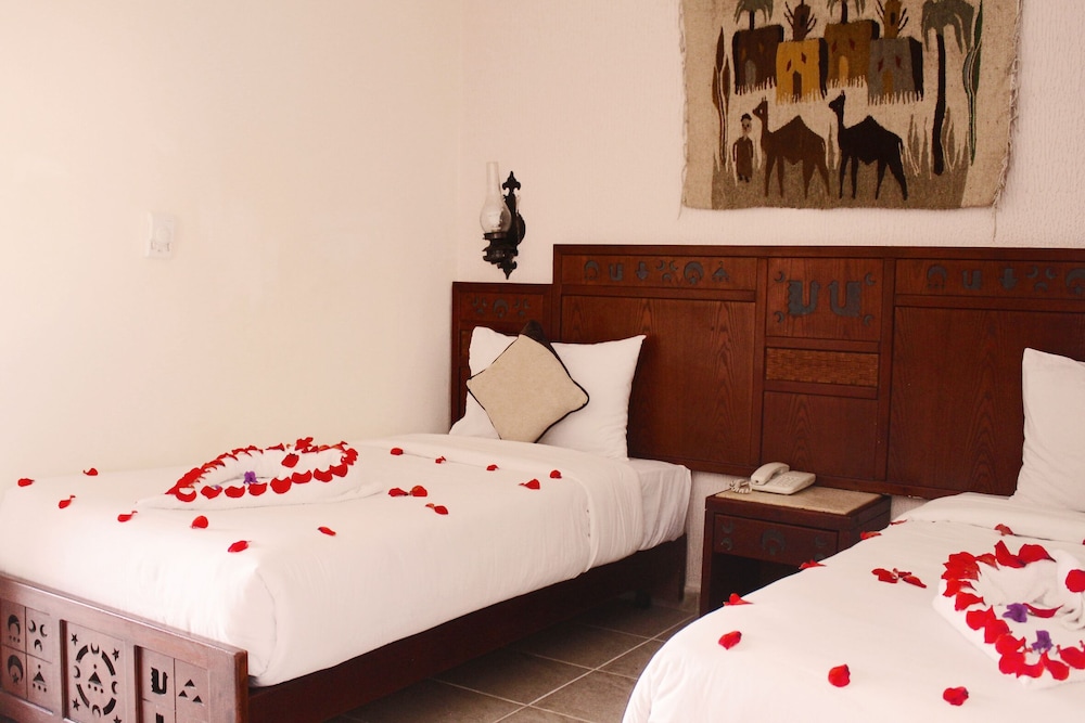 Sharm Inn Amarein 11/44