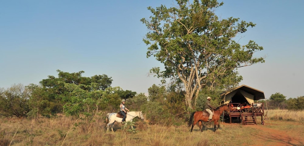 Kwafubesi Tented Safari Camp 40/45