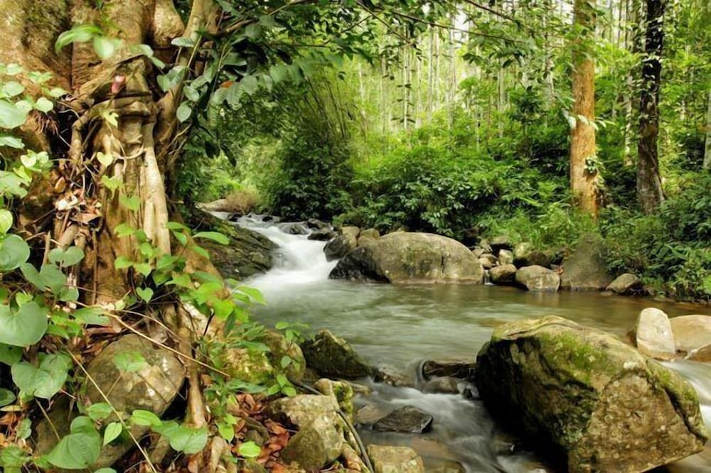 BANASURA HILL RESORT 32/50
