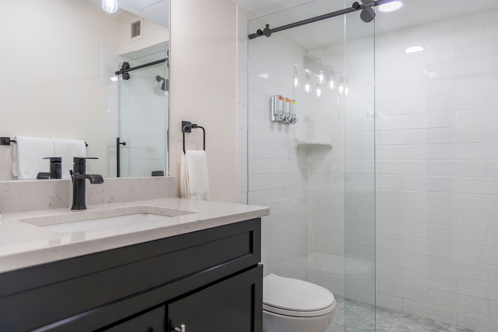 The Fold Hotels Steamboat Springs 65/65