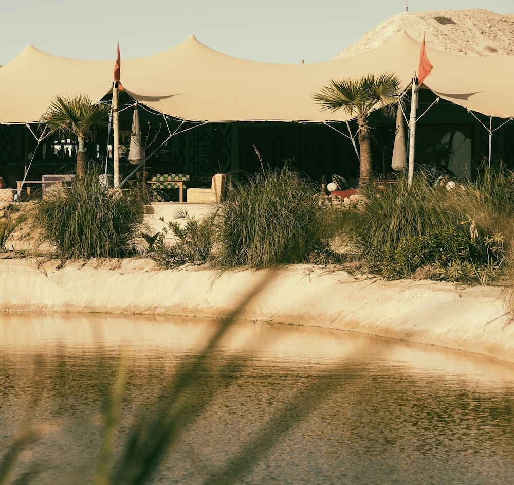 Les Dunes de Dakhla 15/31