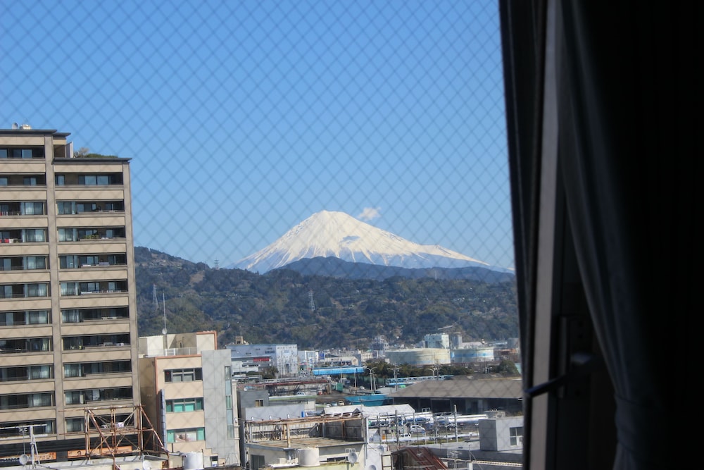 Seagrande Shimizu Station Hotel 10/57