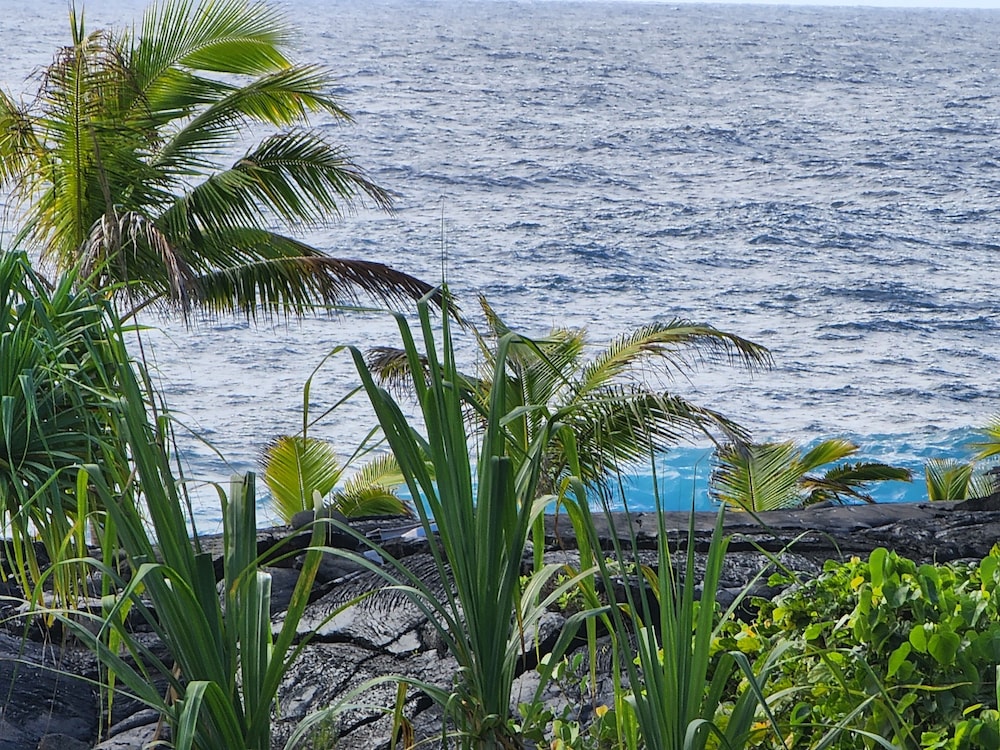 Ma'ukele Lodge 34/50