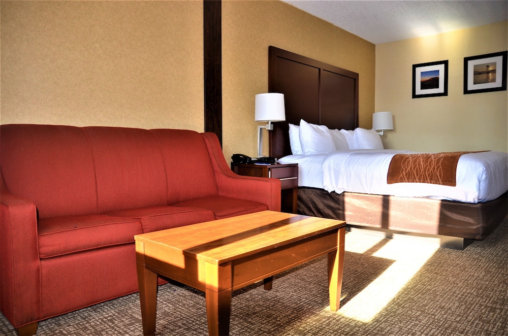 Comfort Inn & Suites Vancouver Downtown City Center 37/48