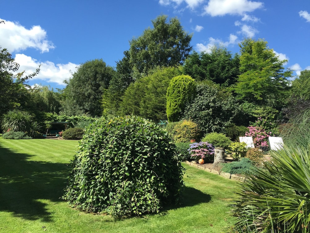 Beechwood B&amp;B 25/32