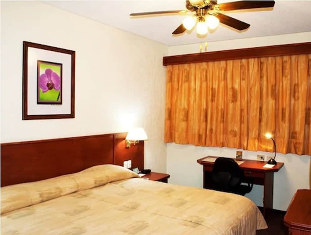 Hotel Marcella Clase Ejecutiva 13/28