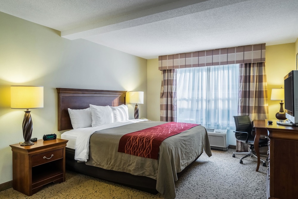 Comfort Inn & Suites Dover near Speedway 19/56