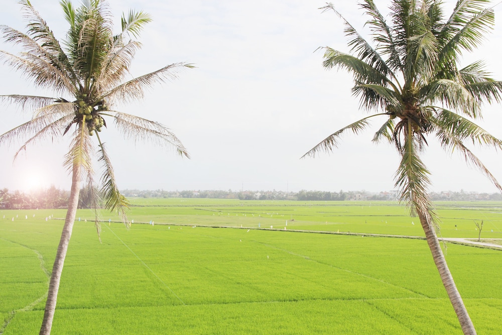 Hoi An Four Season Villa 56/66