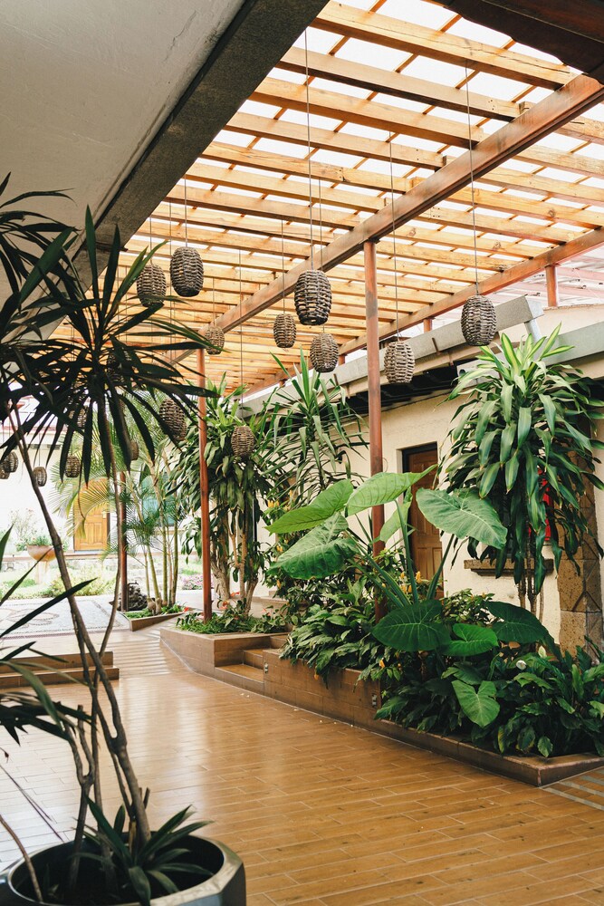 Hotel Posada Virreyes 67/71