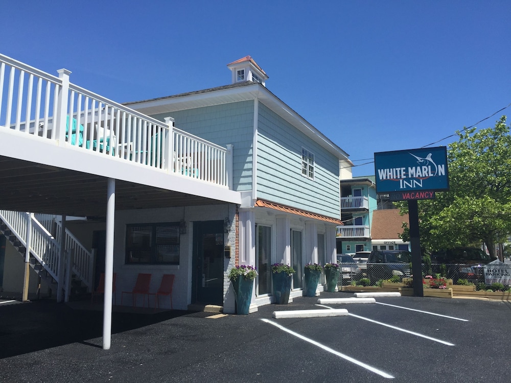 White Marlin Inn 9/18
