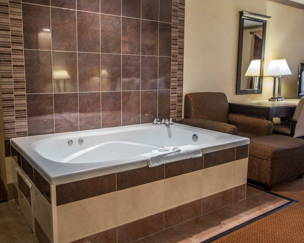 Quality Inn Aurora Naperville Area 19/41