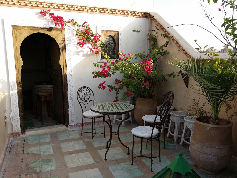 Riad Puchka 12/50