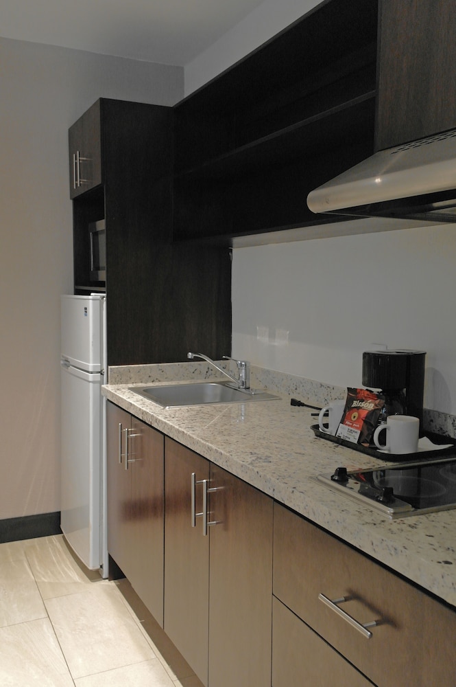 Aurea Hotel And Suites 8/50