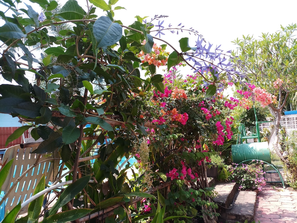 Penny's Home Stay Resort 44/50