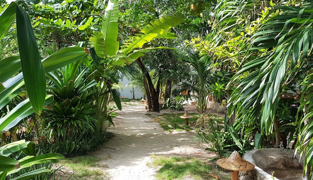 Ocean Vida Beach And Dive Resort 56/65