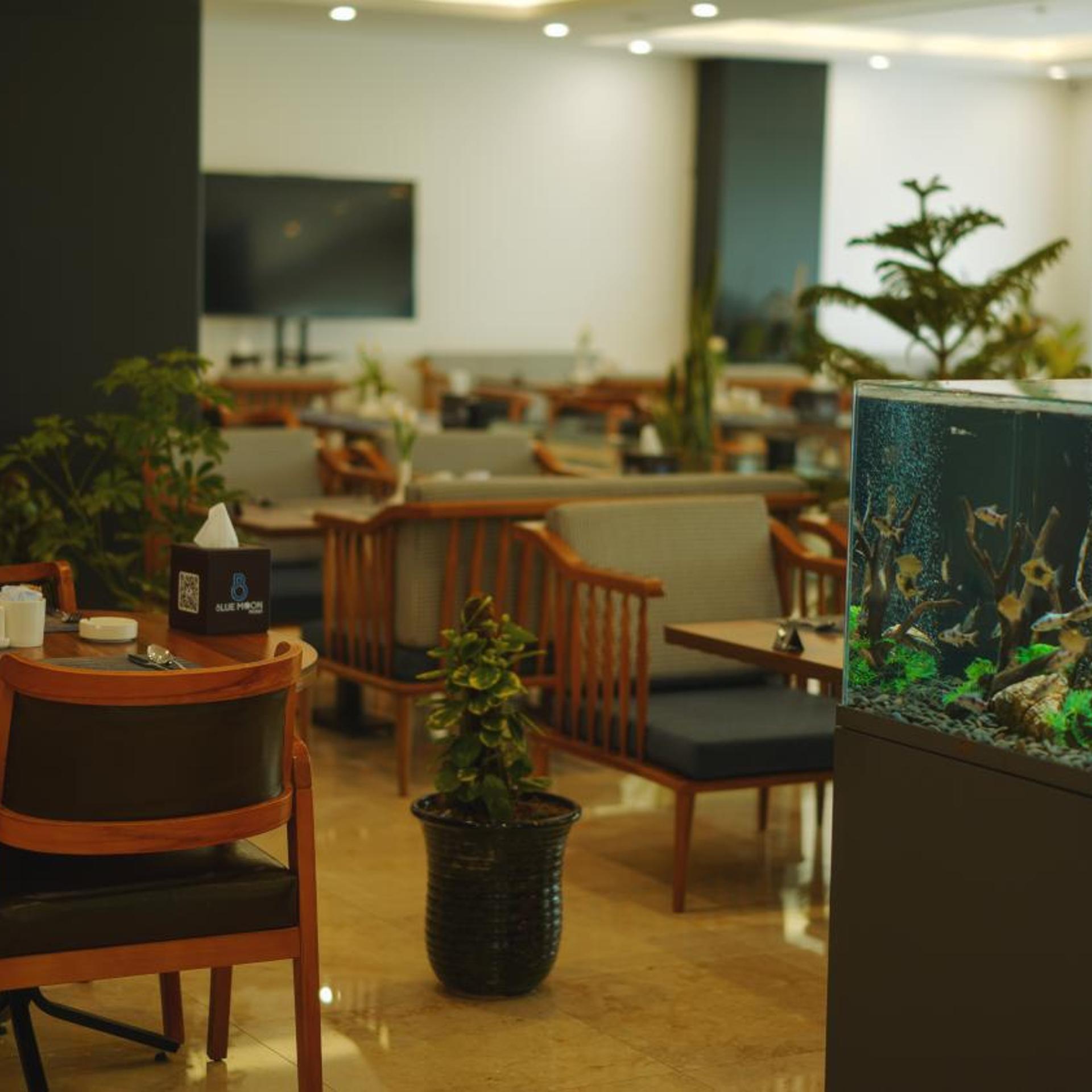 Blue Moon Hotel 45/63