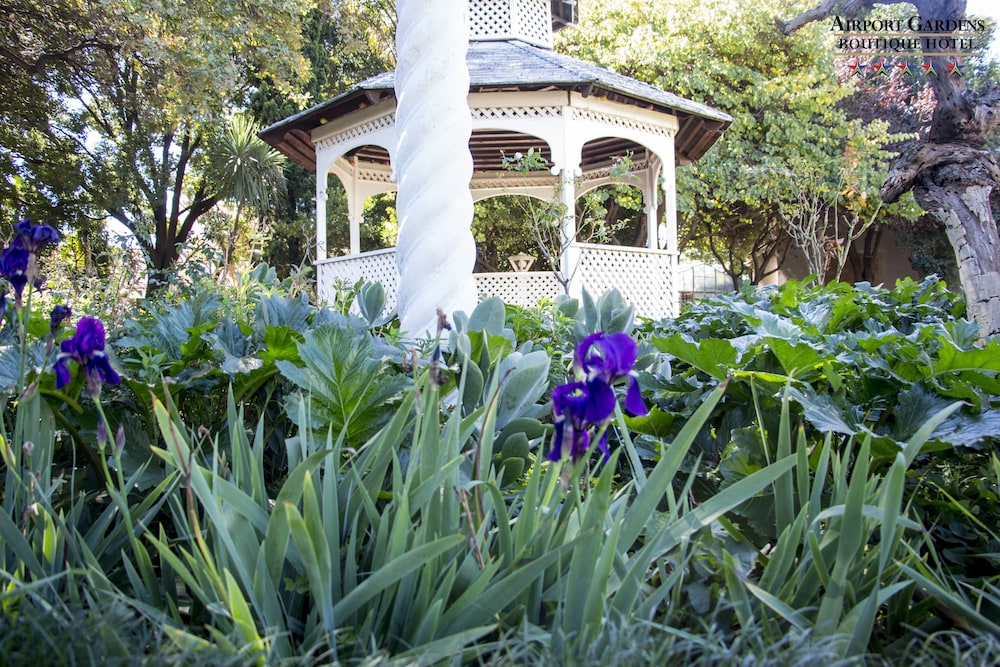 Airport Gardens Boutique Hotel 62/68
