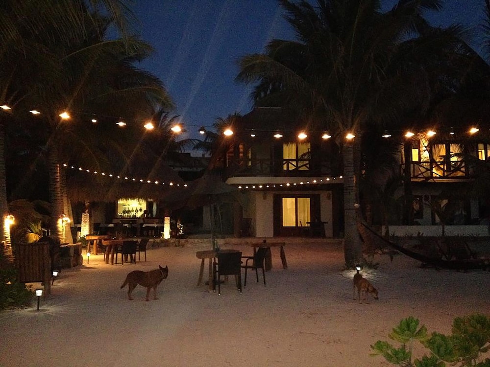 Casa Iguana Holbox 32/37