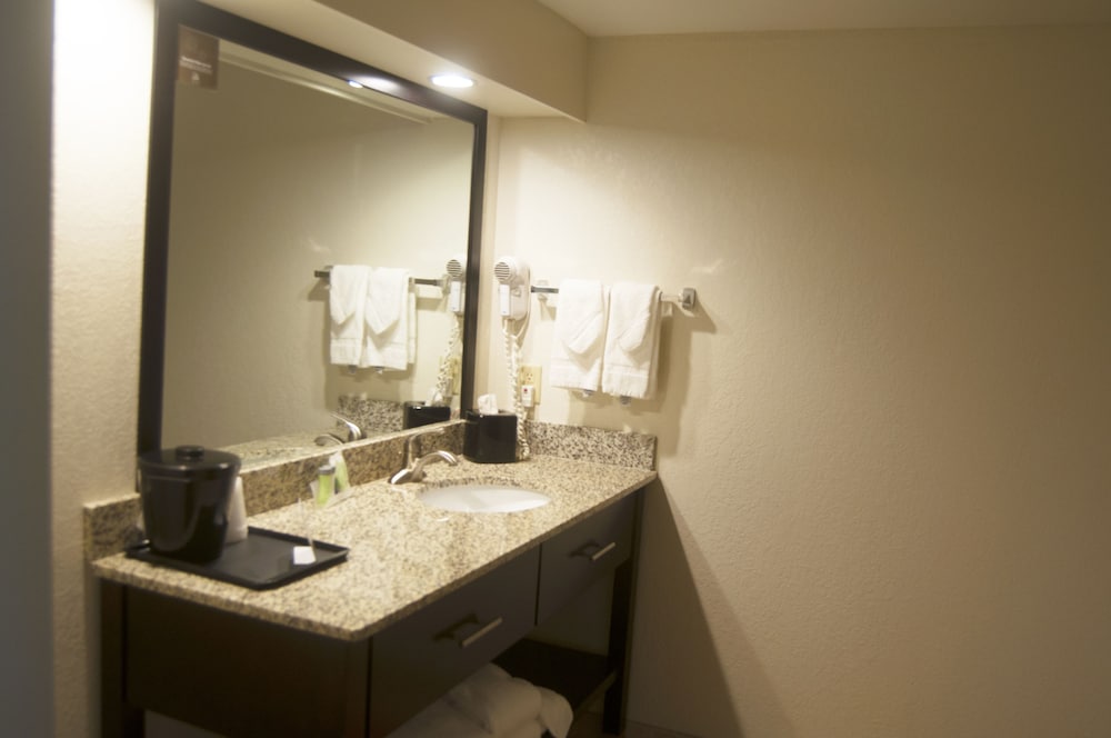 Sleep Inn Suites Buffalo Airport 24/63