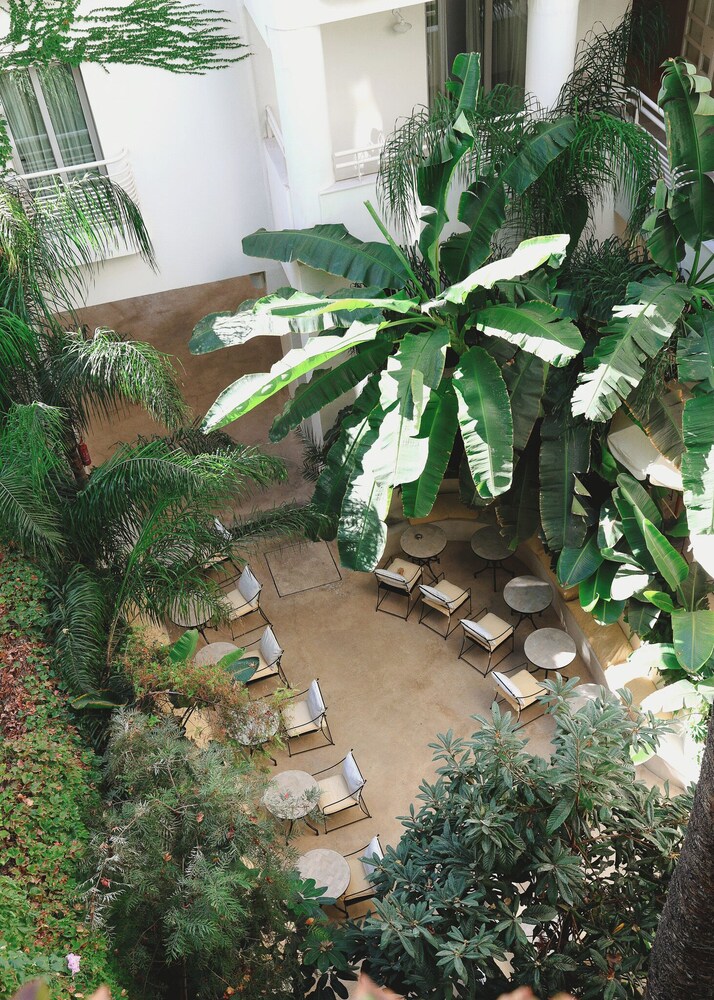 Apollo Palm Hotel 61/66