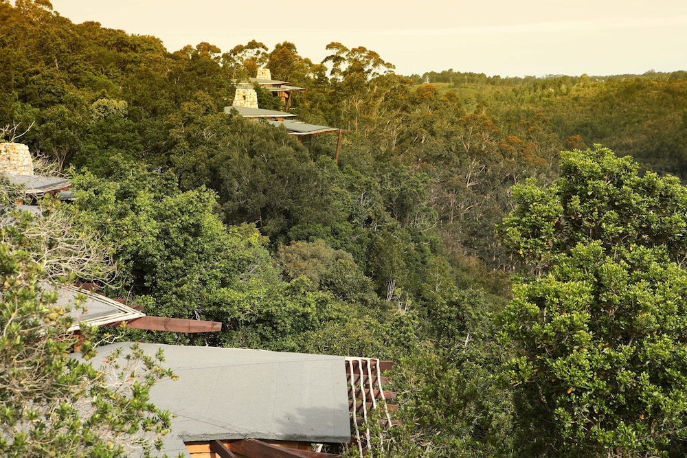 Tsala Treetop Lodge 39/50