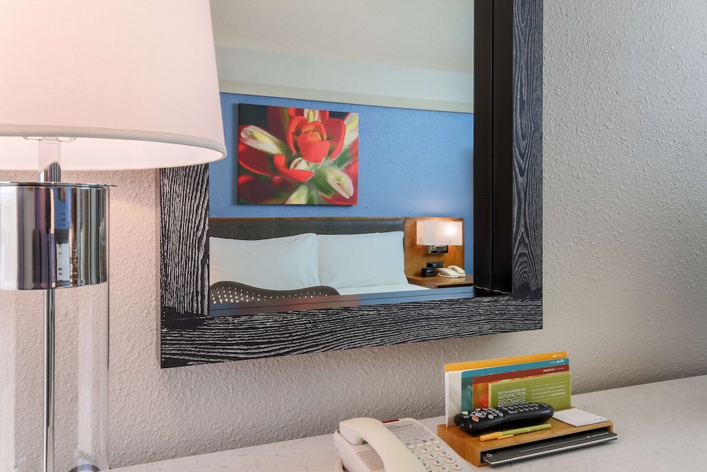 Hilton Garden Inn Dallas/Market Center 17/53