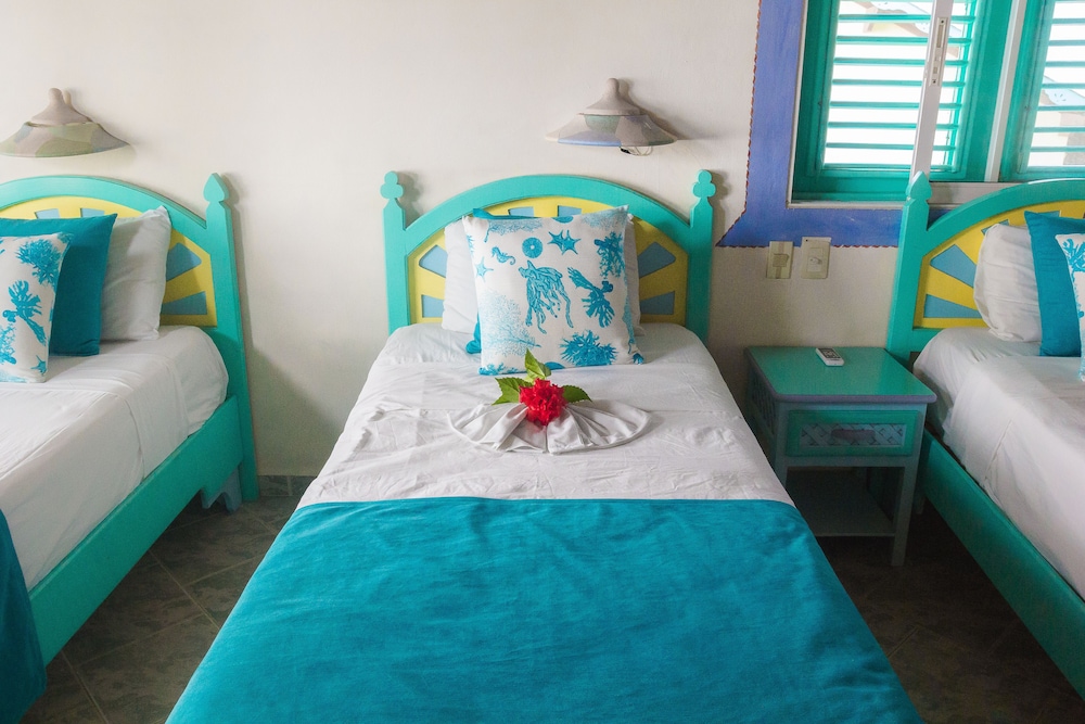 Hotel Playa Colibri 22/72