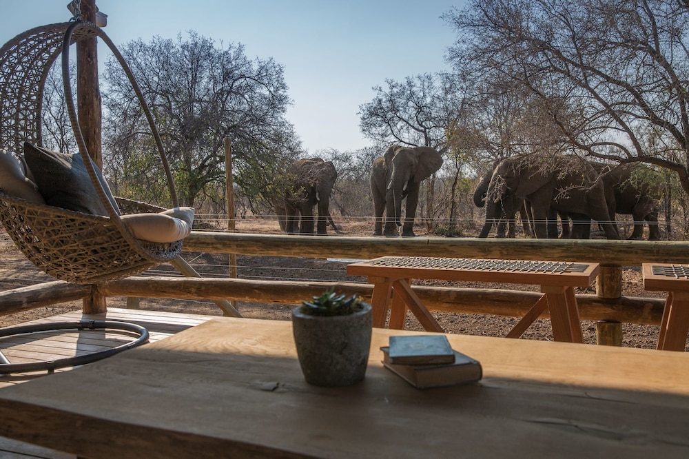 Nkala Safari Lodge 37/43