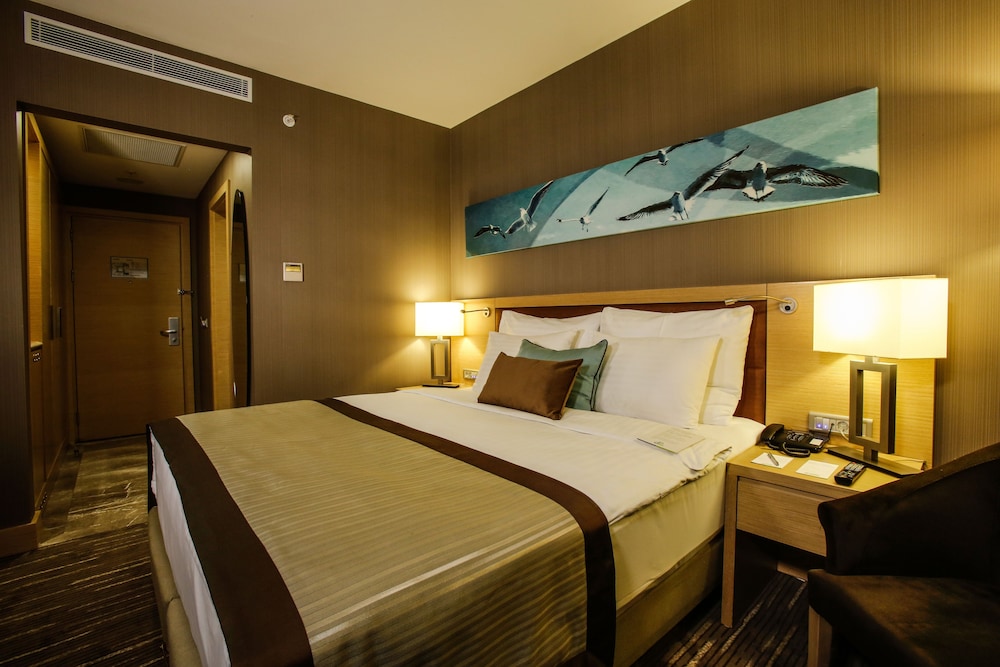 Park Dedeman Bostanci Hotel 28/52