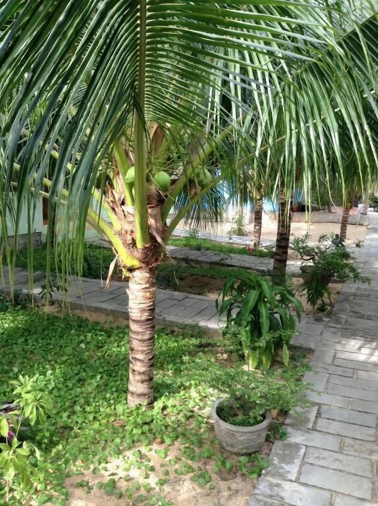 Cocosand Hotel 31/41