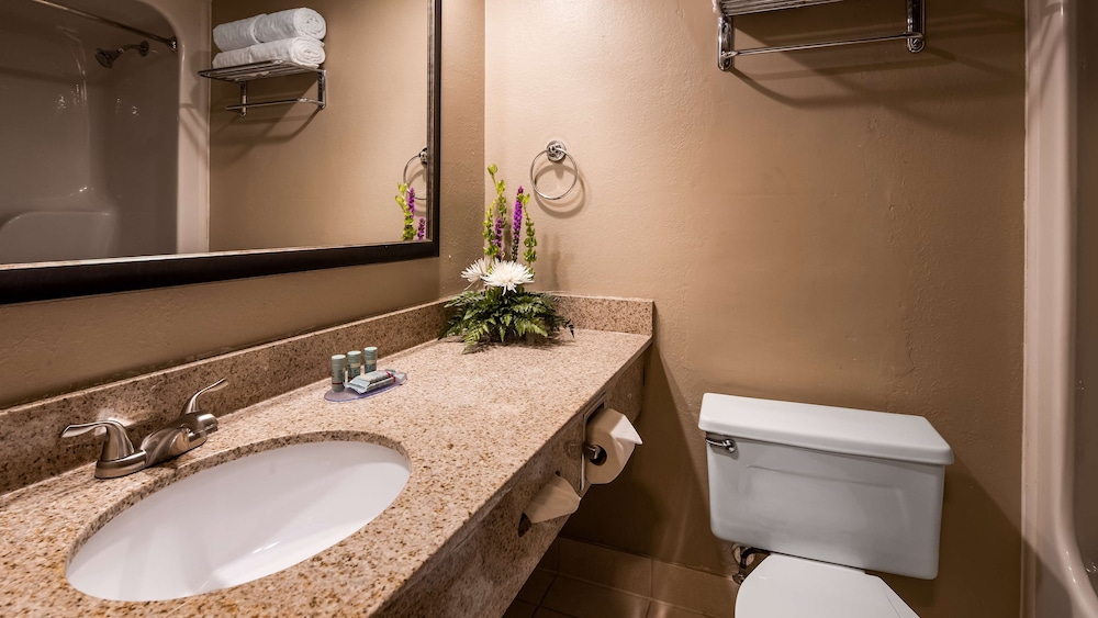 Best Western Detroit Livonia 20/42