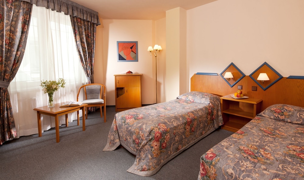 HOTEL CONCERTINO ZLATA HUSA 14/73