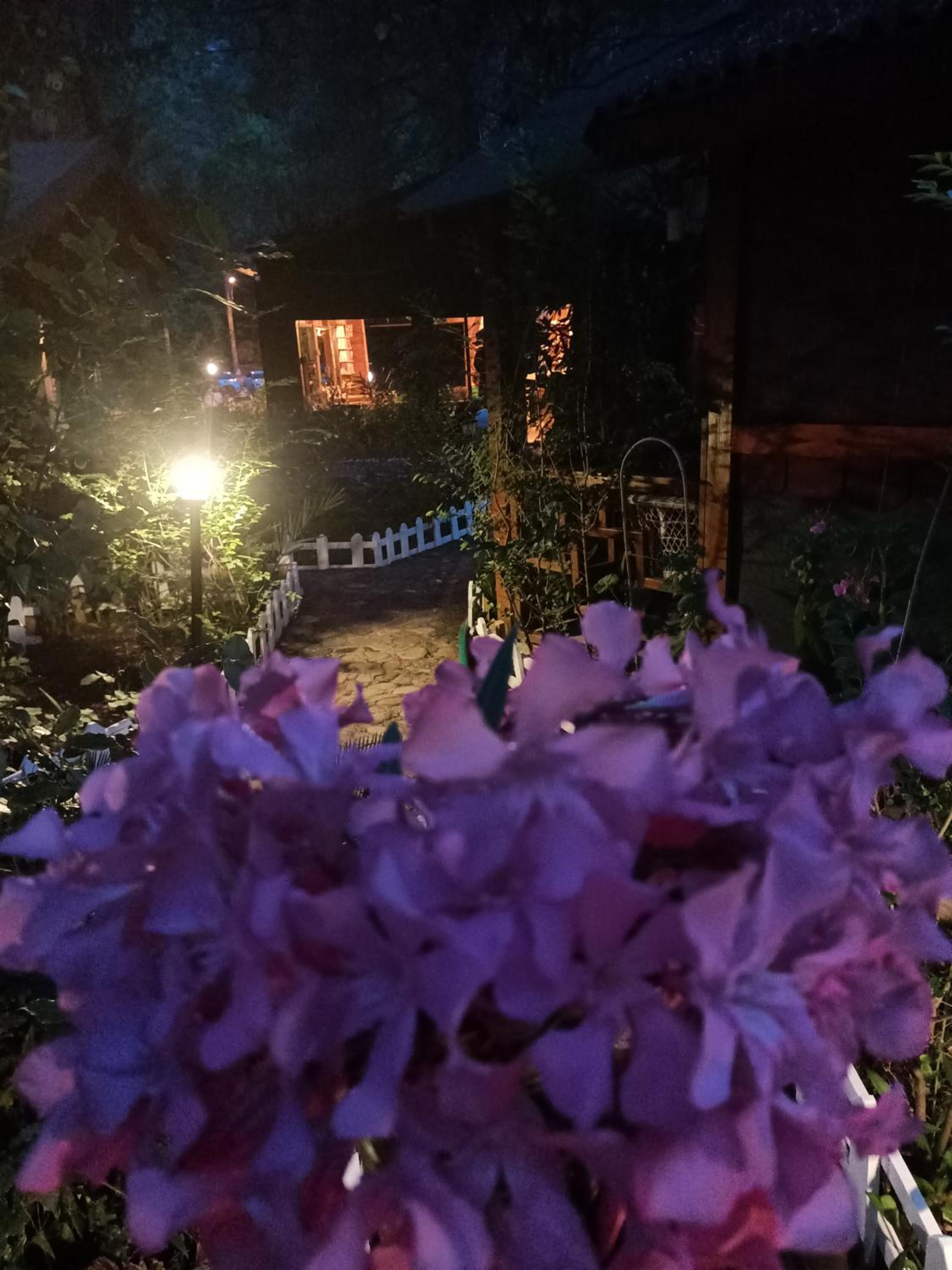 Canario Pension Bungalow 14/50