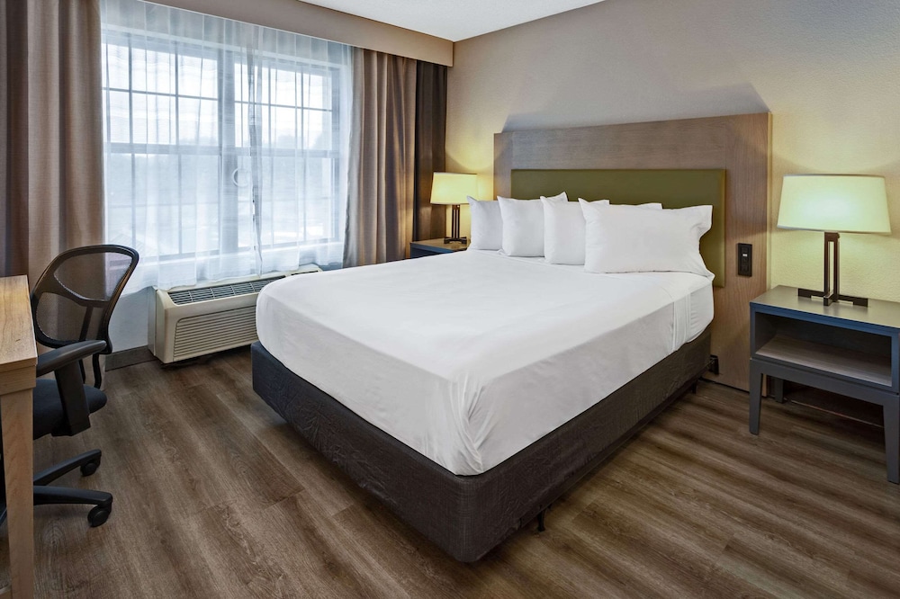 Studio, Suite, Queen Bed, Accessible
