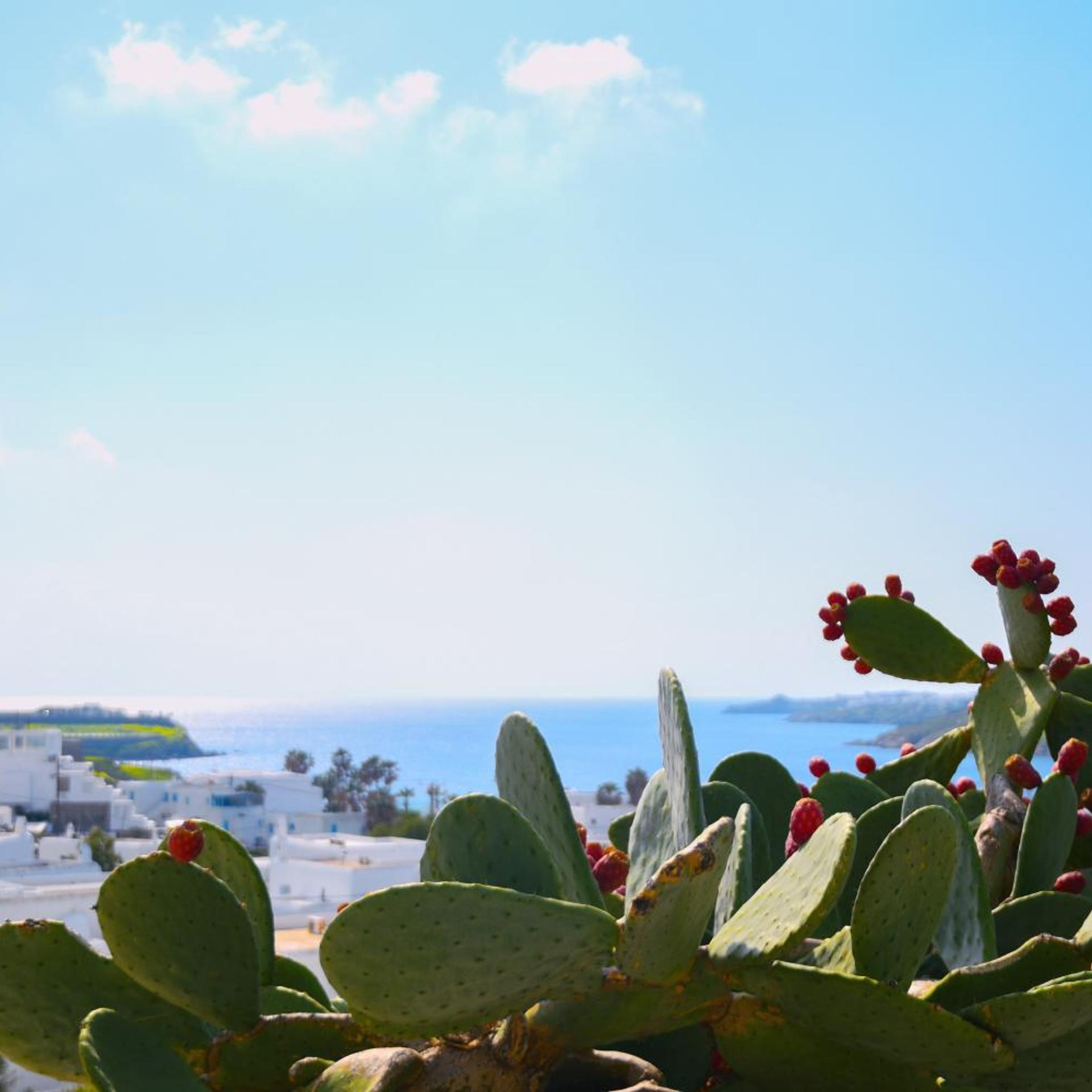 Amperian Mykonos 34/50