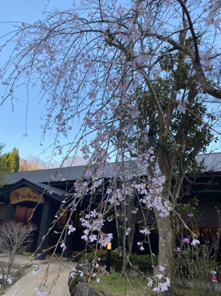 Yufuin Ryoan Wazanho 48/49