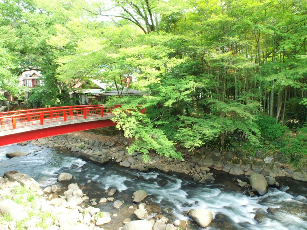 ARAI RYOKAN 38/50