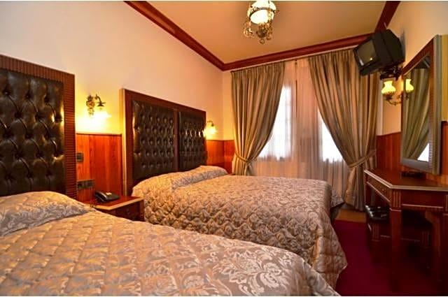 HOTEL APOLLON METSOVO 18/49