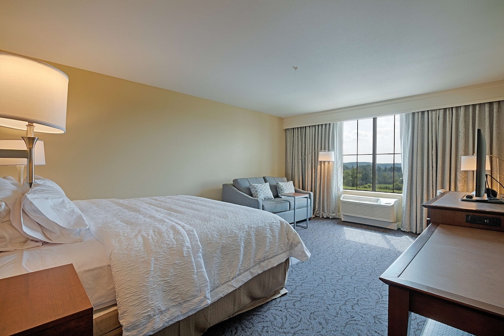 Hampton Inn Suites Cazenovia Ny 14/41
