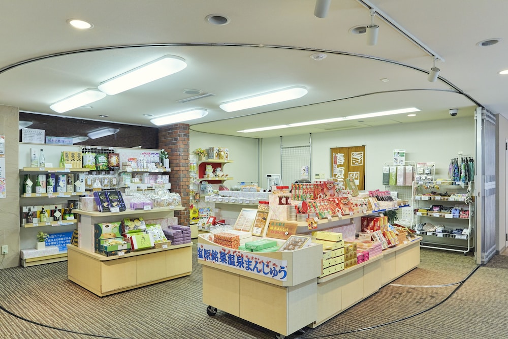 Kamenoi Hotel Shiobara (ex Kanponoyado Shiobara) 31/50