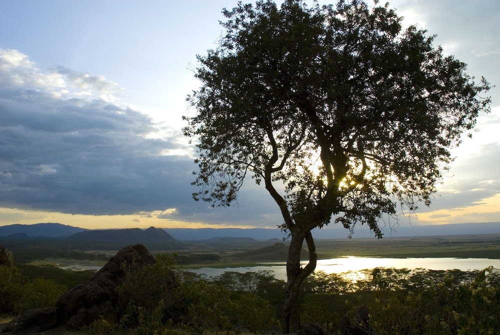 Jacaranda Lake Elementaita Lodge 26/34