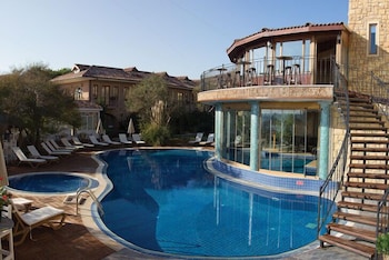 palace hotel olive odore