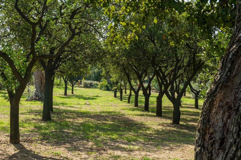 Agriturismo Villa Coluccia 43/50